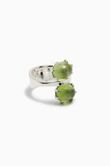 Bactrian Ring